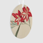Superb Corn-Flag Ornament (voorkant)
