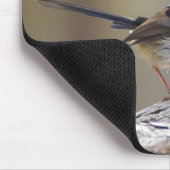 Superb Fairy-wren Muismat (Hoek)