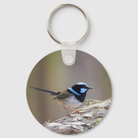 Superb Fairy-wren Sleutelhanger (Voorkant)