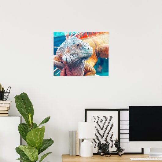 Superbe affiche colorée Iguana (Bureau à domicile)
