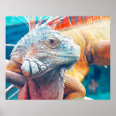 Superbe affiche colorée Iguana (Devant)