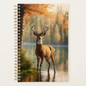 Superbe canard à douze points dans les eaux d'auto (Devant)