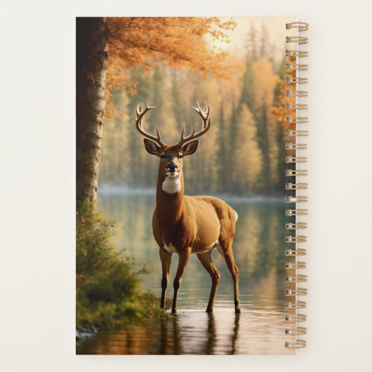 Superbe canard à douze points dans les eaux d'auto (Dos)