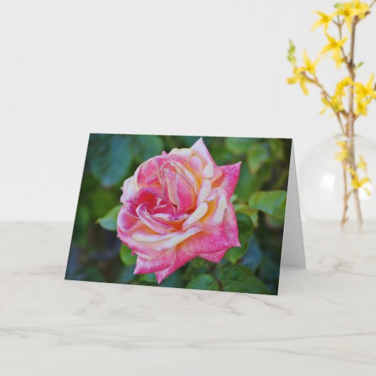 Superbe carte de note Rose à crème rose (Fleur jaune)