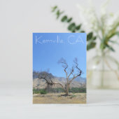 Superbe carte postale de Kernville ! (Debout devant)