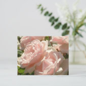 Superbe carte postale Rose (Debout devant)