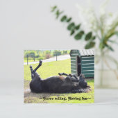 Superbe carte postale roulante Cheval (Debout devant)