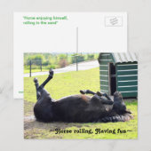 Superbe carte postale roulante Cheval (Devant / Derrière)