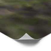 Superbe Cheetah Belle Poster Photo Chat (Coin)