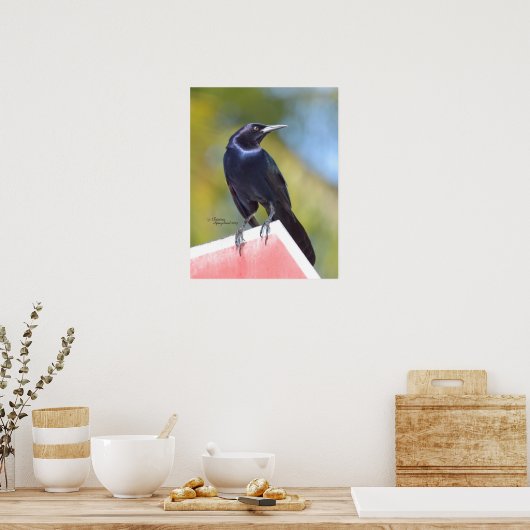 Superbe corbeau corbeau Poster ou imprimer (Cuisine)