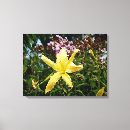 Superbe déco de murs de jardin (Recto)