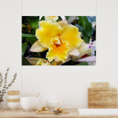 Superbe Poster d'orchidée exotique jaune (Cuisine)