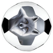 Superbe Renard Artique (Tourné)