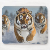 Superbe tapis de souris Tigre ! (Devant)