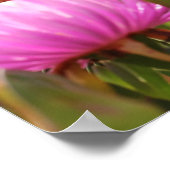 Superbes fleurs roses Poster A3 (Coin)