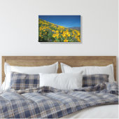 Superbloom van hoge woestijnbalsem canvas afdruk (Insitu (Slaapkamer))