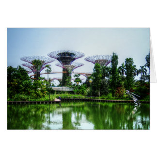 Superbomen en het libellen-meer