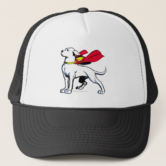 Superdog Krypto Trucker Pet (Voorkant)