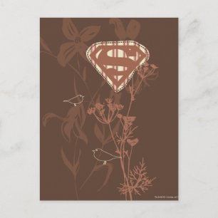Supergirl Brown Bird Briefkaart