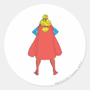 Supergirl Uitzicht Ronde Sticker