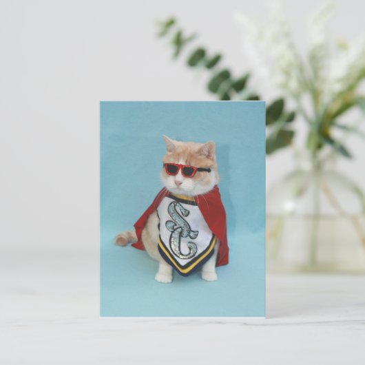 Superheld Bubba Briefkaart (Staand voorkant)