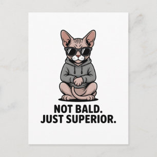 Superieure Sphynx Kat Houding Illustratie Briefkaart