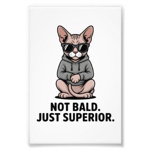 Superieure Sphynx Kat Houding Illustratie Foto Afdruk