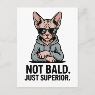 Superieure Sphynx Kat Sarcastische Attitude Kunst Briefkaart