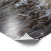 Superieurpark in Winter Foto Afdruk (Hoek)