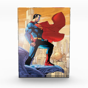 Superman Daily Planet Fotoblokken
