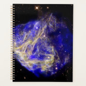 Supernova Remnant N49 (Devant)