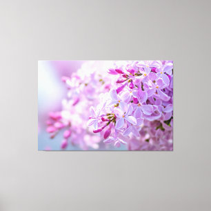 Superroze Lila bloemen Canvas Afdruk
