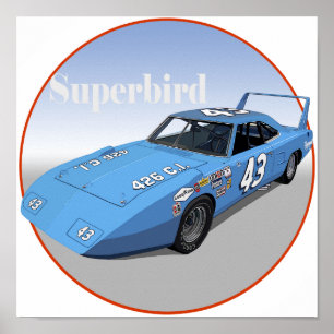 Supervogel 43 poster