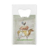 Support B1.tif de la ferme NOB11 (Dos)