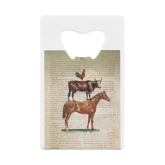 Support C1.tif de la ferme NOB12 (Devant)