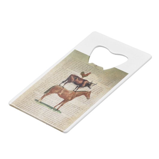 Support C1.tif de la ferme NOB12 (Dos Angle)