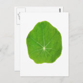 Support Green, Save the Planet Briefkaart (Voorkant / Achterkant)