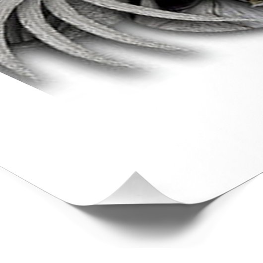 "Supposé émotion", Poster brillant (Coin)