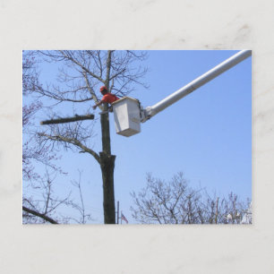 Suppression d'arbre ~ carte postale