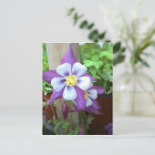 Sur la carte postale (Debout devant)