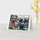 SUR LA COLLINE / CE QUE VOUS POUVEZ ATTENDRE CARTE (Fleur jaune)