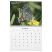 Sur la gaze s'envole le calendrier 2011 de (Mar 2027)