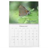 Sur la gaze s'envole le calendrier 2011 de (Feb 2027)