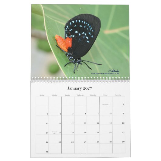Sur la gaze s'envole le calendrier 2011 de (Jan 2027)