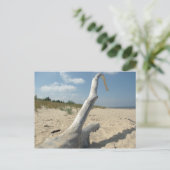 Sur la plage - Carte postale (Debout devant)