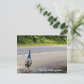 Sur la route de nouveau - Carte postale Maui Peaco (Debout devant)