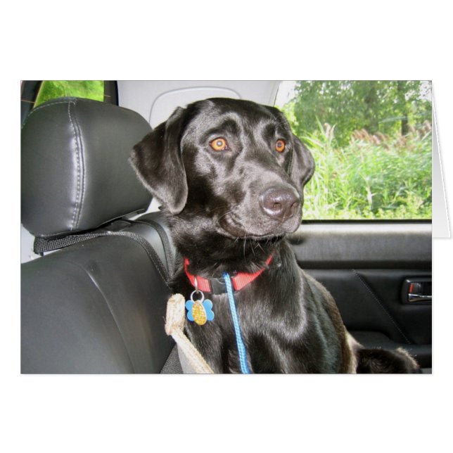 Sur la route encore (Devant horizontal)