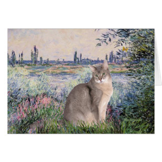 Sur la Seine - Abyssinian (bleu 21)