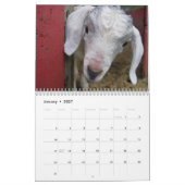 Sur le calendrier aimable d'animaux de basse-cour (Jan 2027)