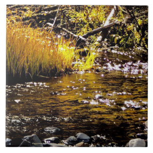Sur le carreau de Golden Water Creek